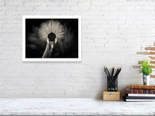 Load image into Gallery viewer, 6268379-1466724
