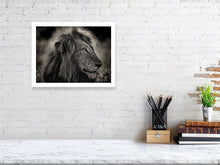 Load image into Gallery viewer, 6268380-1466728
