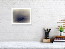 Load image into Gallery viewer, 6192798-1442114
