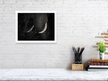 Load image into Gallery viewer, 6268253-1466628
