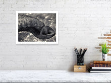 Load image into Gallery viewer, 6268327-1466672
