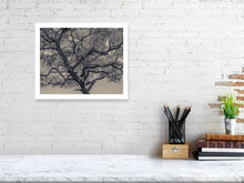 Load image into Gallery viewer, 6268251-1466640

