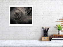 Load image into Gallery viewer, 6190678-1441263
