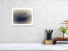 Load image into Gallery viewer, 6192793-1442119
