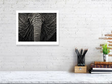 Load image into Gallery viewer, 6190726-1441280
