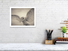 Load image into Gallery viewer, 6268378-1466729
