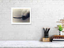 Load image into Gallery viewer, 6192795-1442113

