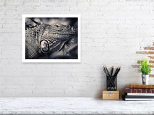 Load image into Gallery viewer, 6268250-1466641

